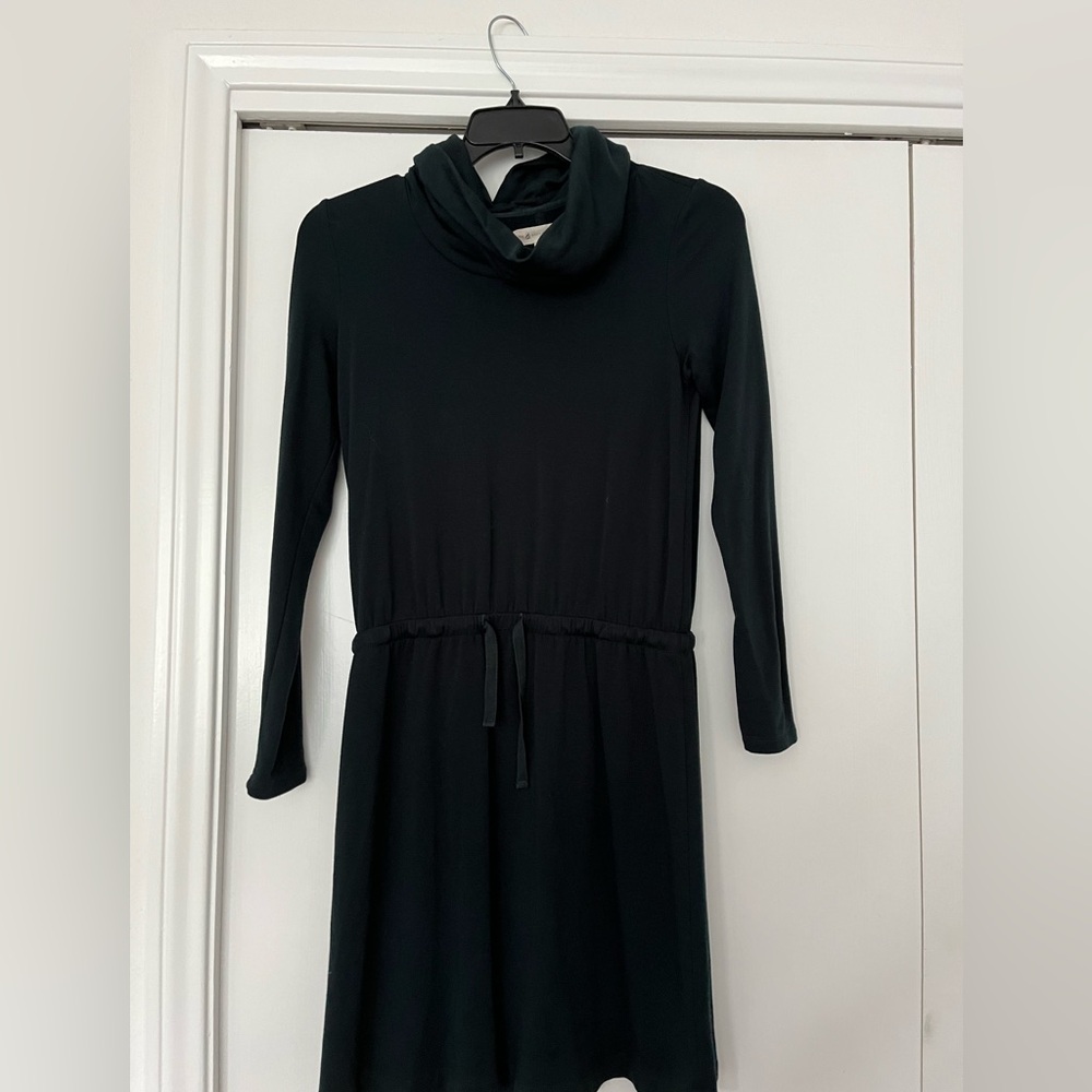 Lou & Grey Cowl Neck Fleece-lined Green Mini Dress